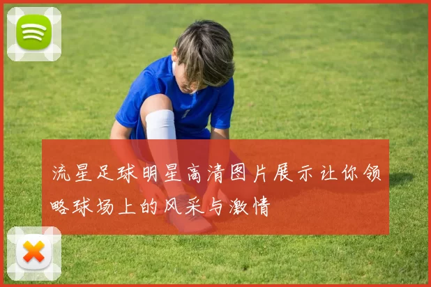 流星足球明星高清图片展示让你领略球场上的风采与激情