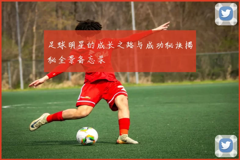 足球明星的成长之路与成功秘诀揭秘全景备忘录