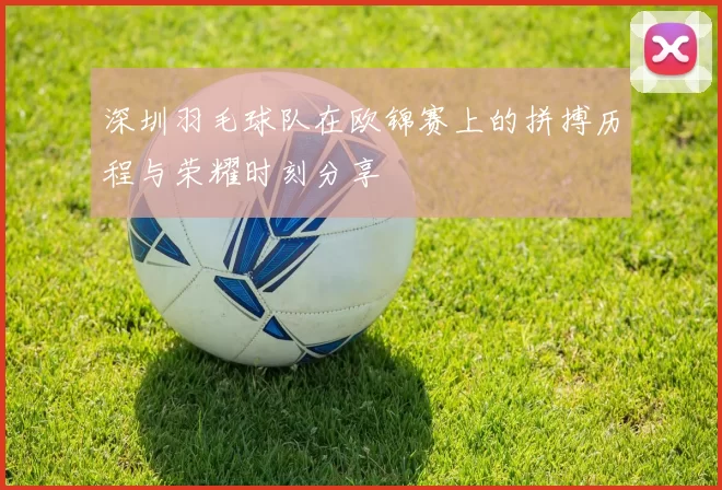 深圳羽毛球队在欧锦赛上的拼搏历程与荣耀时刻分享