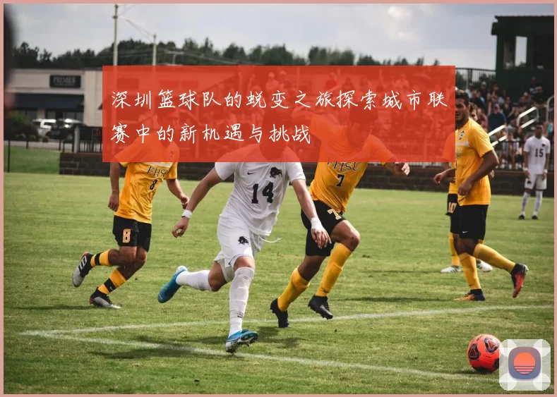深圳篮球队的蜕变之旅探索城市联赛中的新机遇与挑战