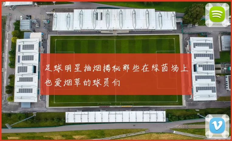 足球明星抽烟揭秘那些在绿茵场上也爱烟草的球员们