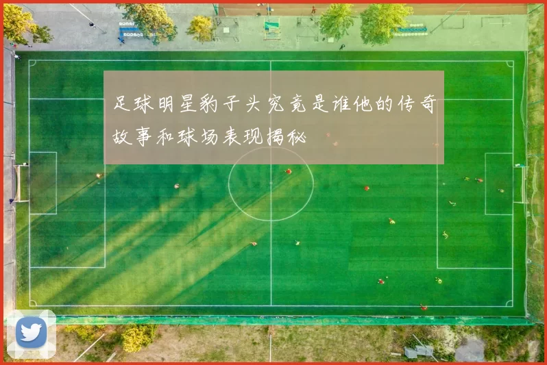 足球明星豹子头究竟是谁他的传奇故事和球场表现揭秘