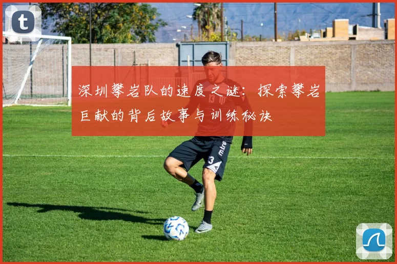 深圳攀岩队的速度之谜：探索攀岩巨献的背后故事与训练秘诀