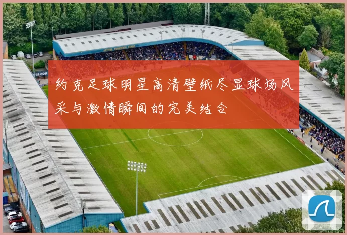 约克足球明星高清壁纸尽显球场风采与激情瞬间的完美结合