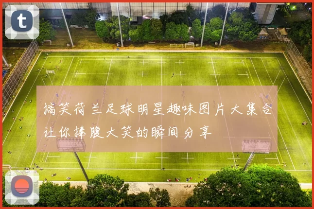 搞笑荷兰足球明星趣味图片大集合让你捧腹大笑的瞬间分享